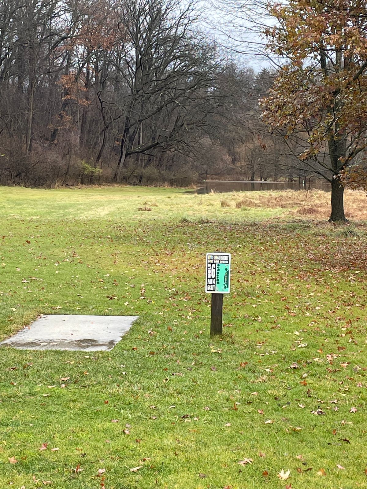 Hole 6 after flooding
