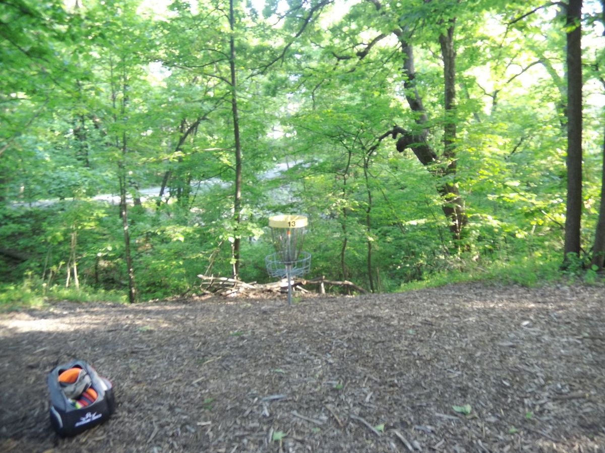 Hole 13 basket