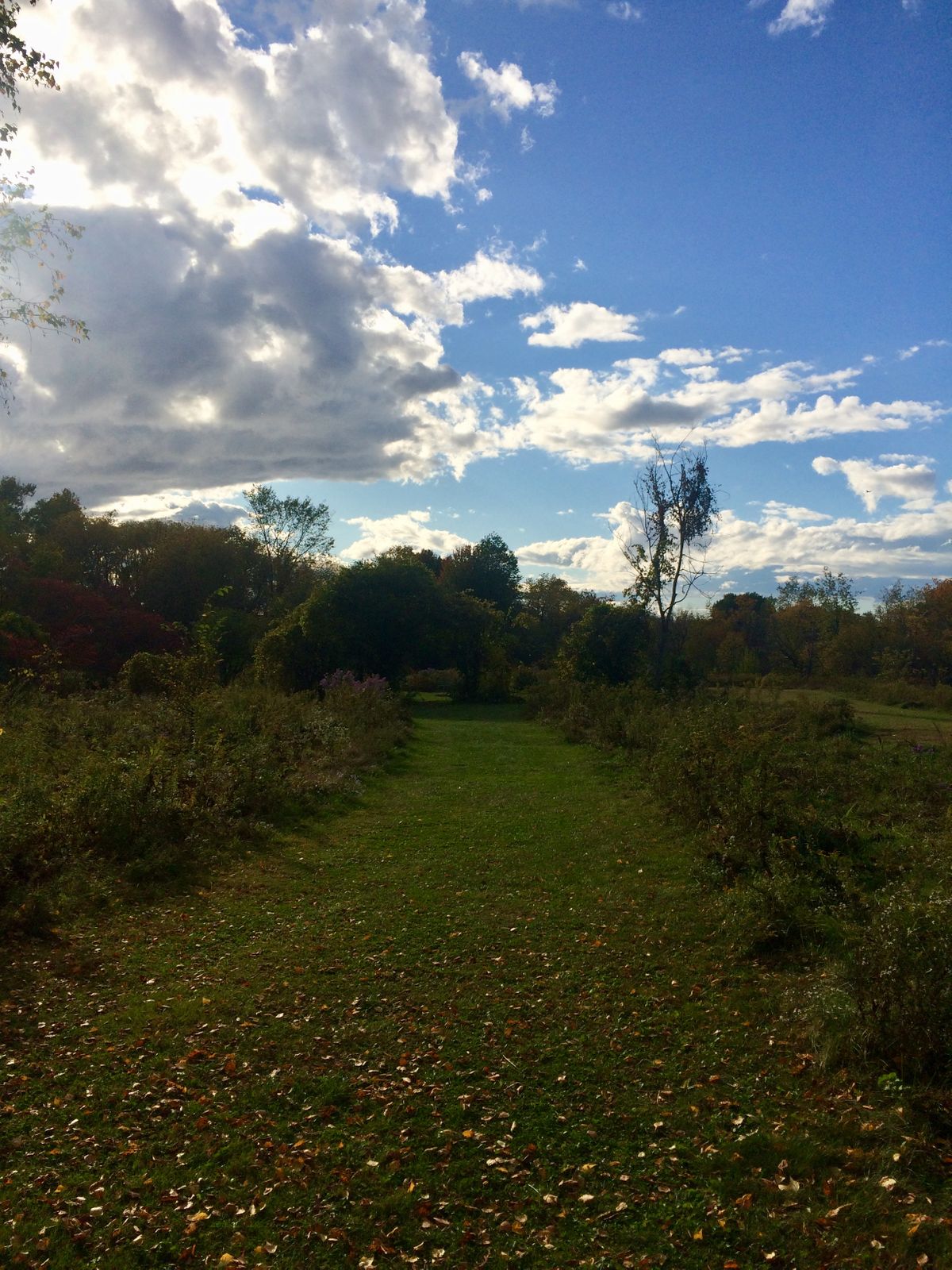 Hole 9
❤️📀⛳️