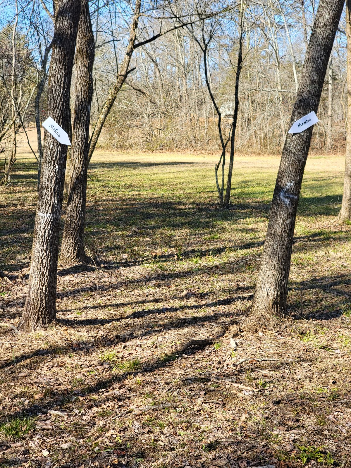 Hole 5 double mando