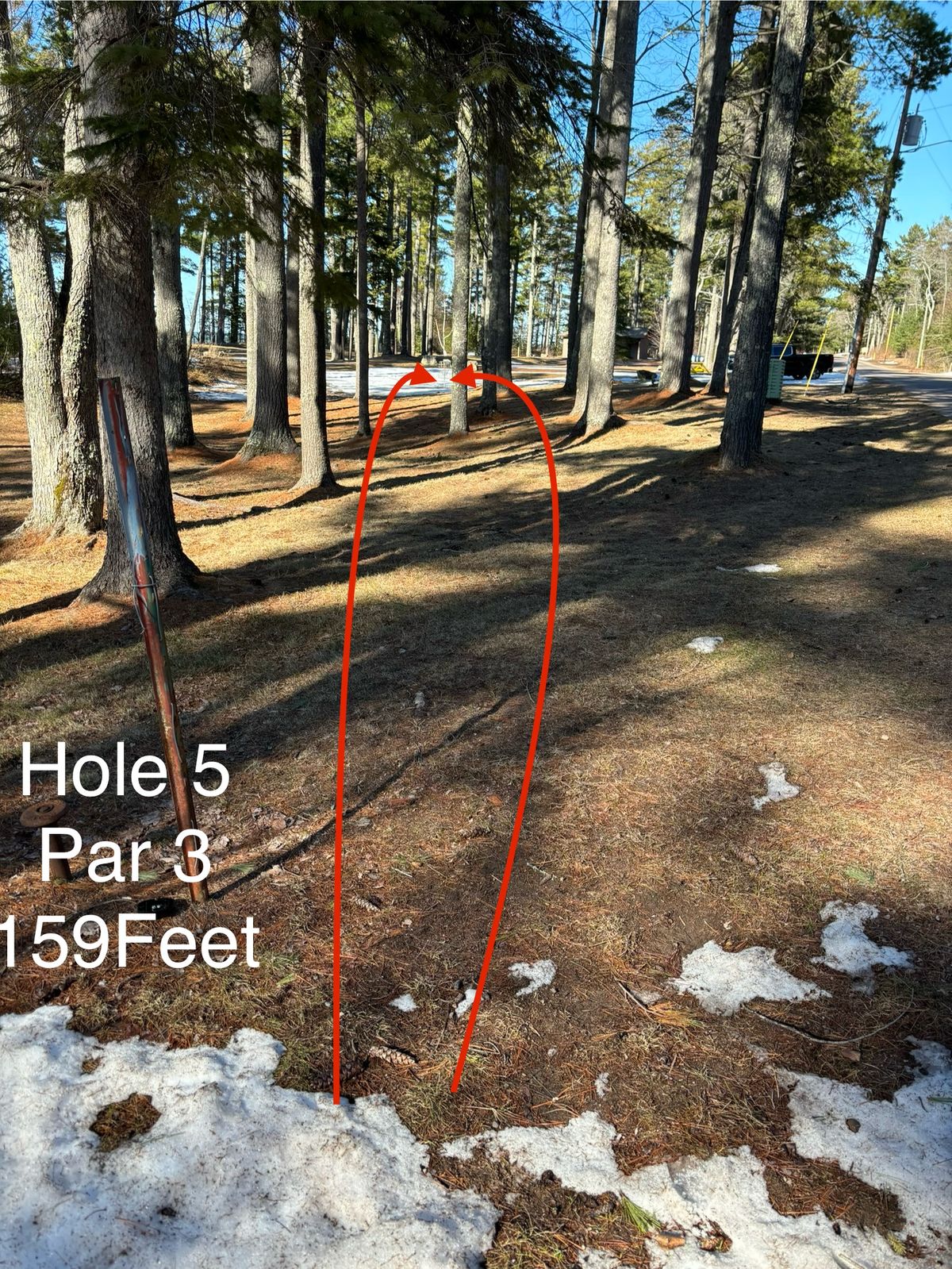 Hole 5 Shorts