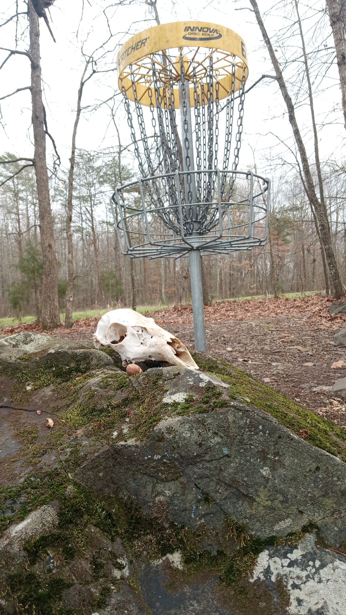Hole 6 green