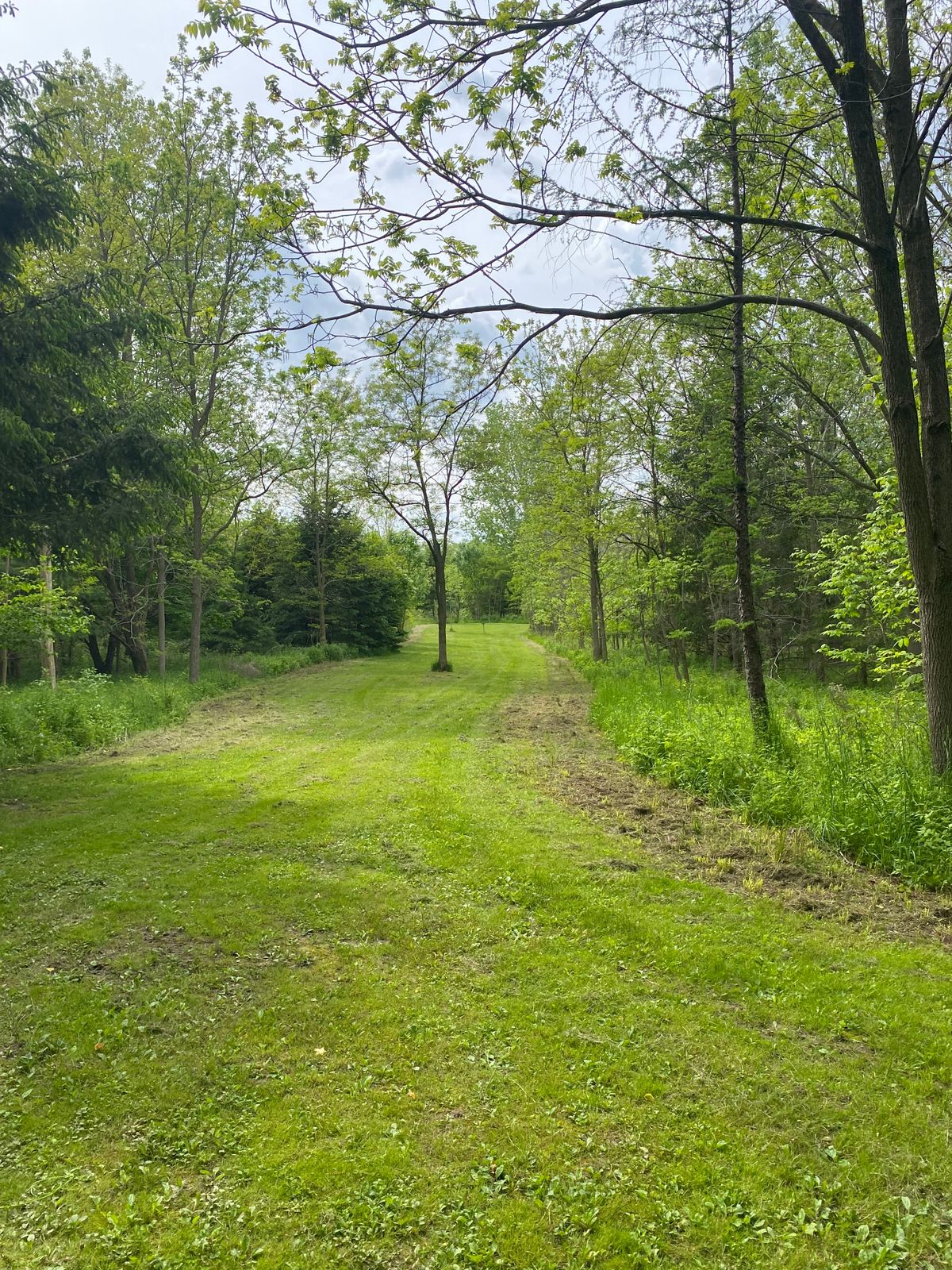 Hole 9 looking back to tee blocks