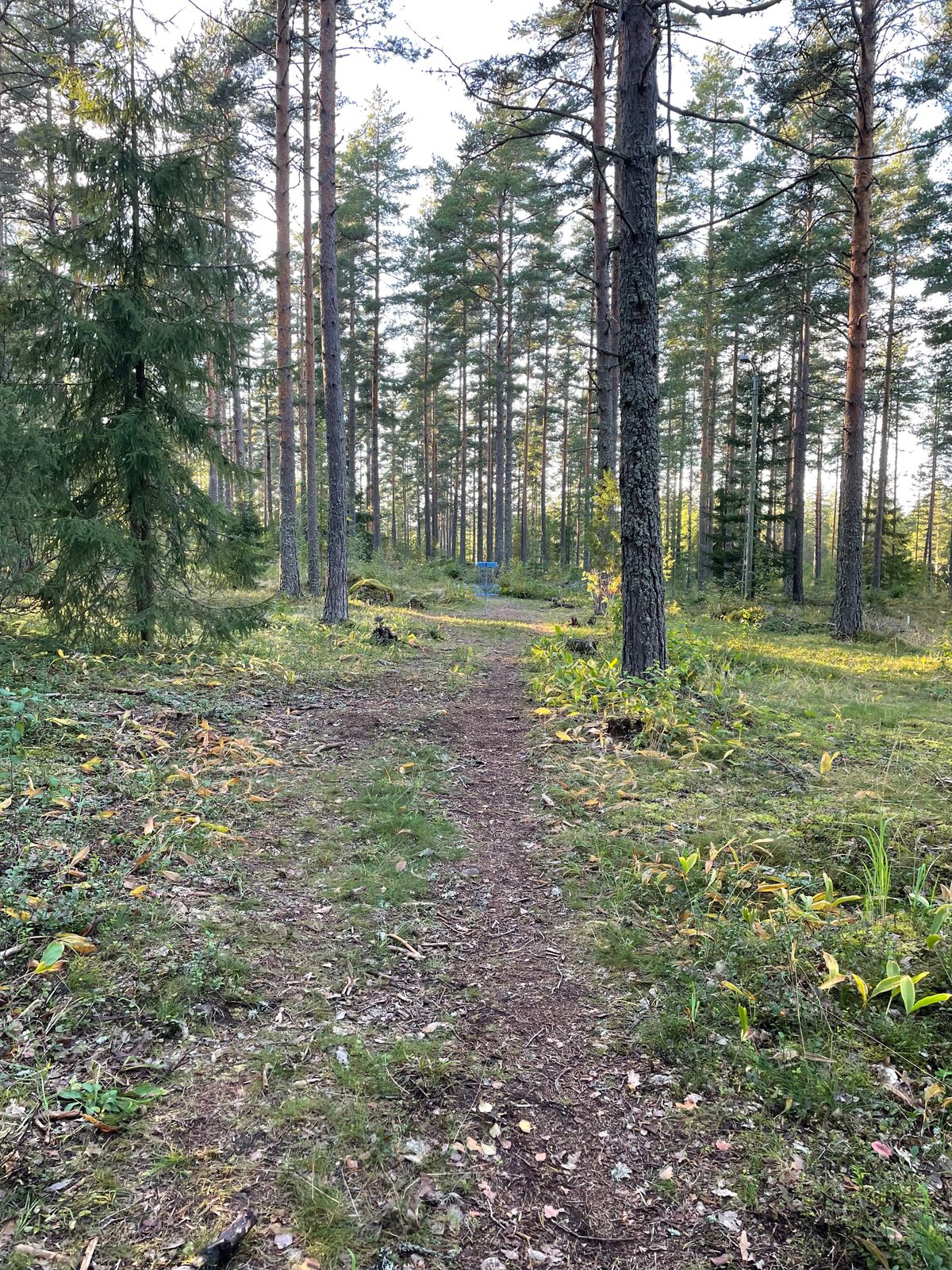 Väylä 1