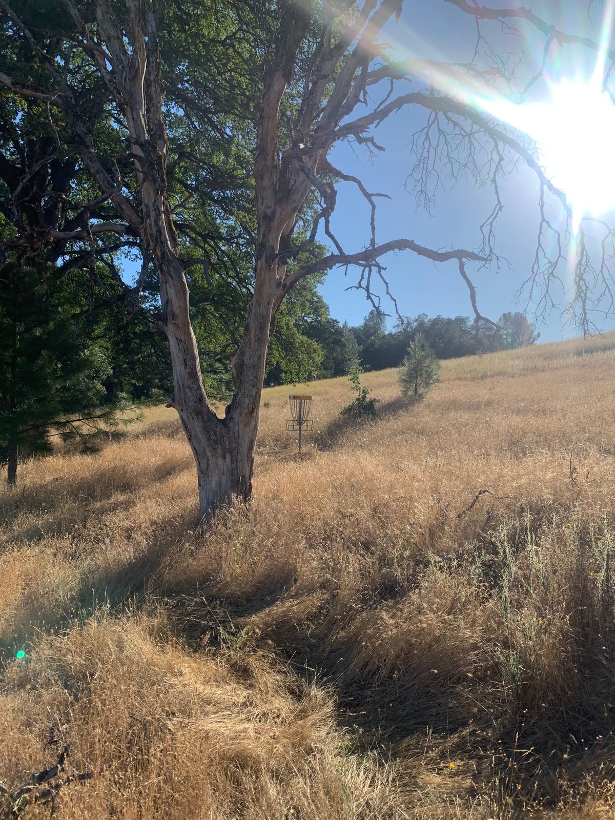 Hole 1 par 4