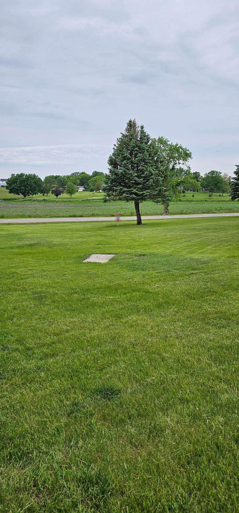 Hole 2 basket