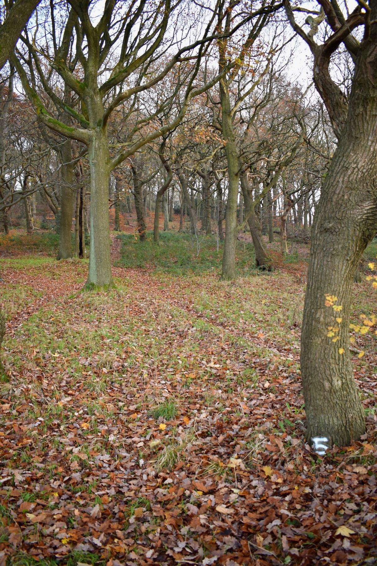 Four Stumps Hole 5 tee.
If you look close enough you'll see the basket up there somewhere.