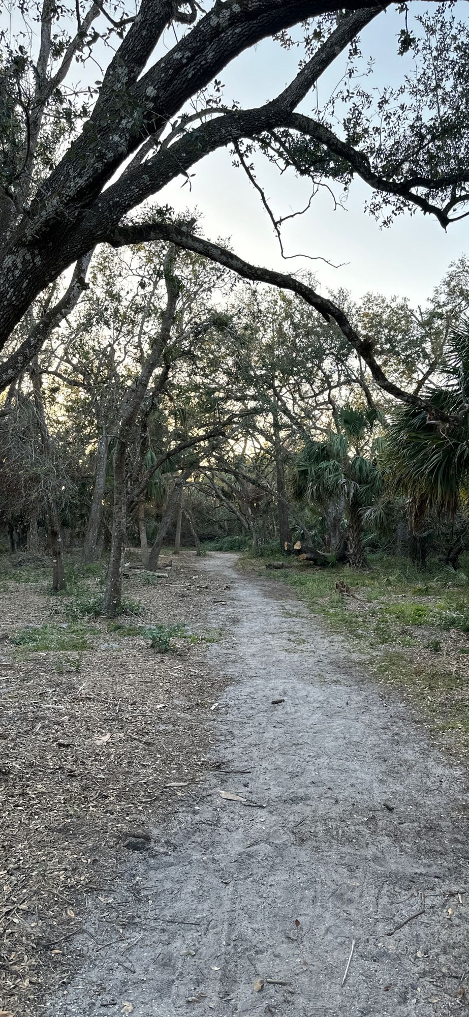 Hole 1