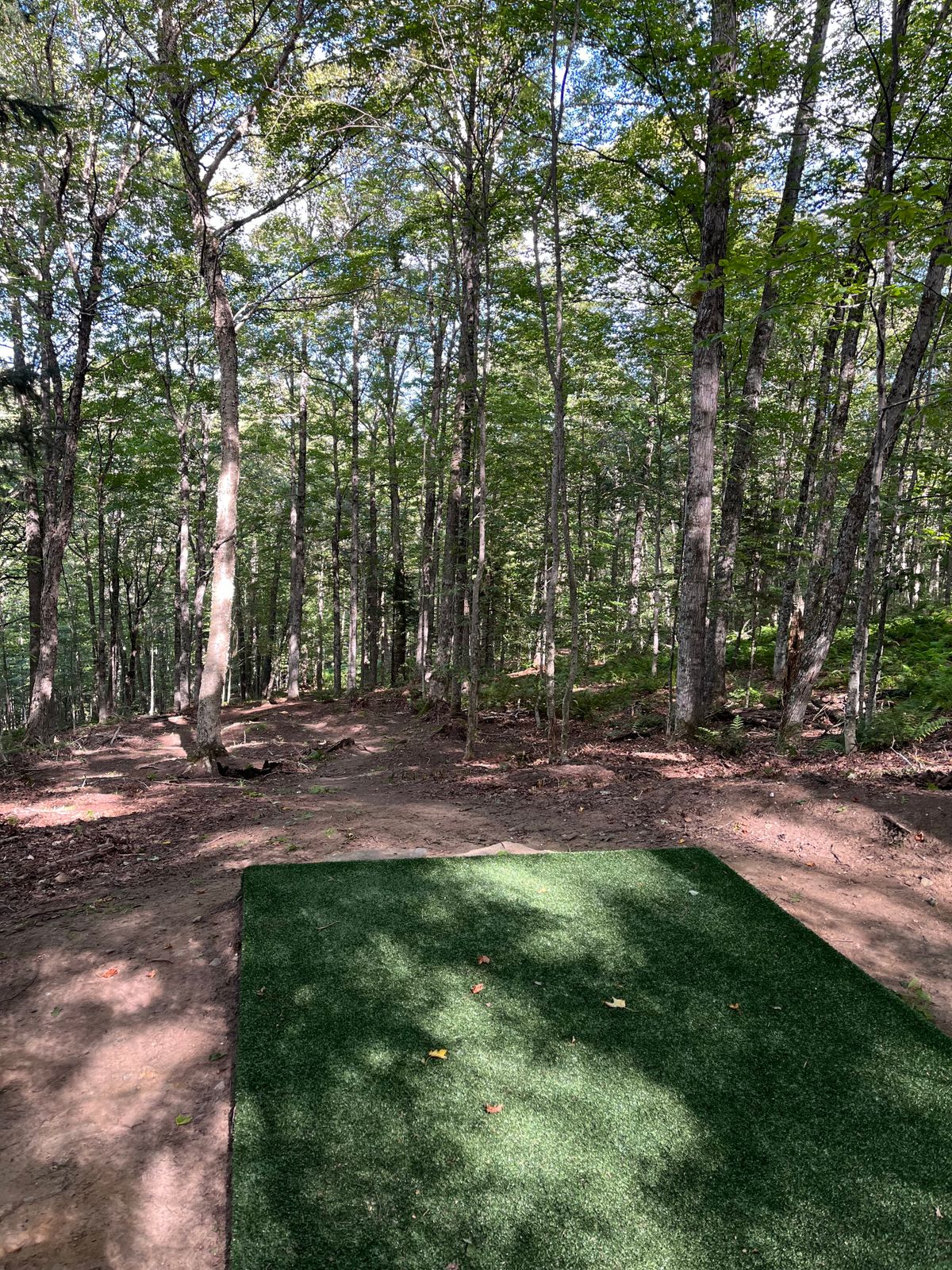 Hole 7 tee pad