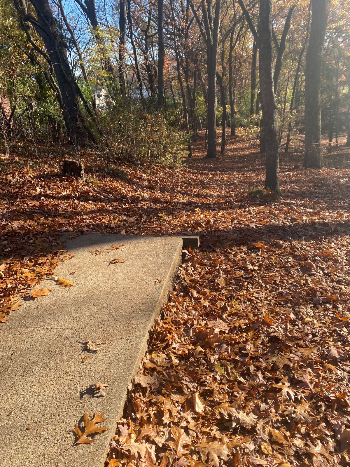Hole 18 Tee Pad