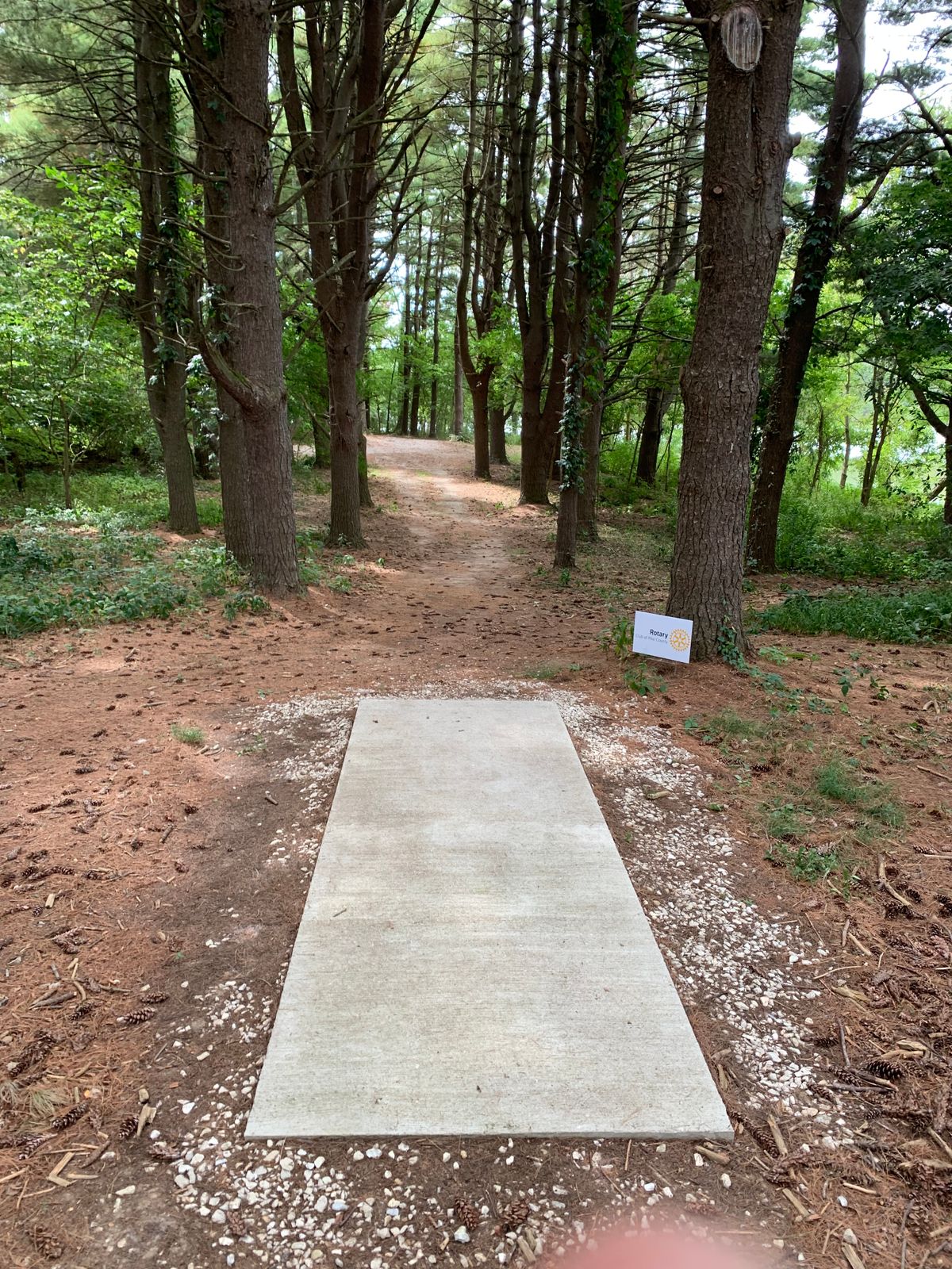 Hole 7 Tee Shot