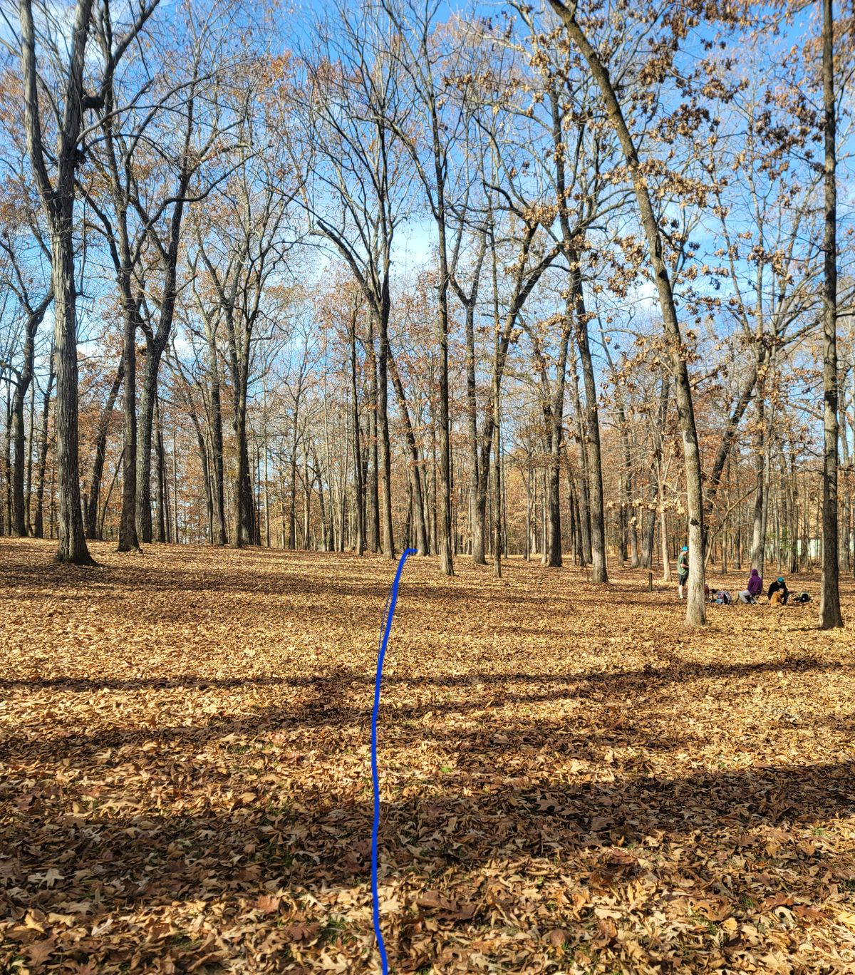 Hole 11
Long 291