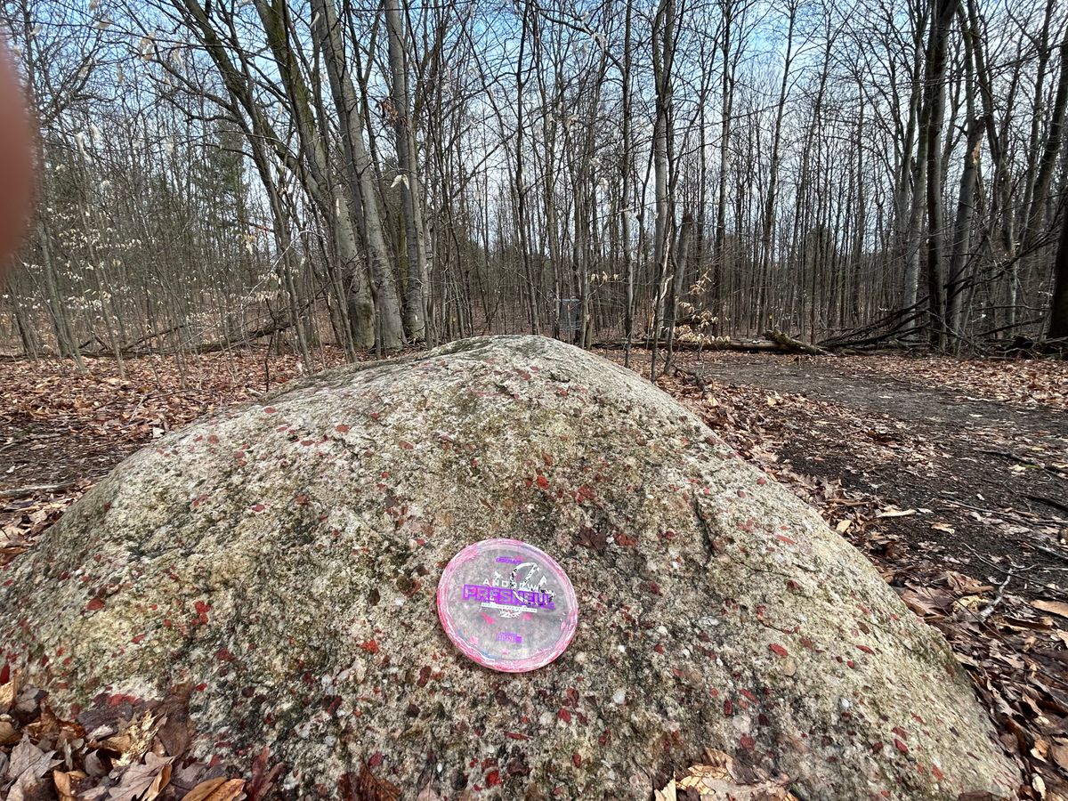 Hole 10 biggest pudding stone I’ve ever seen!