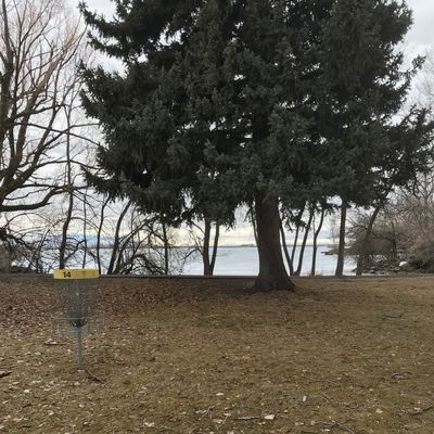 Hole 14 basket
