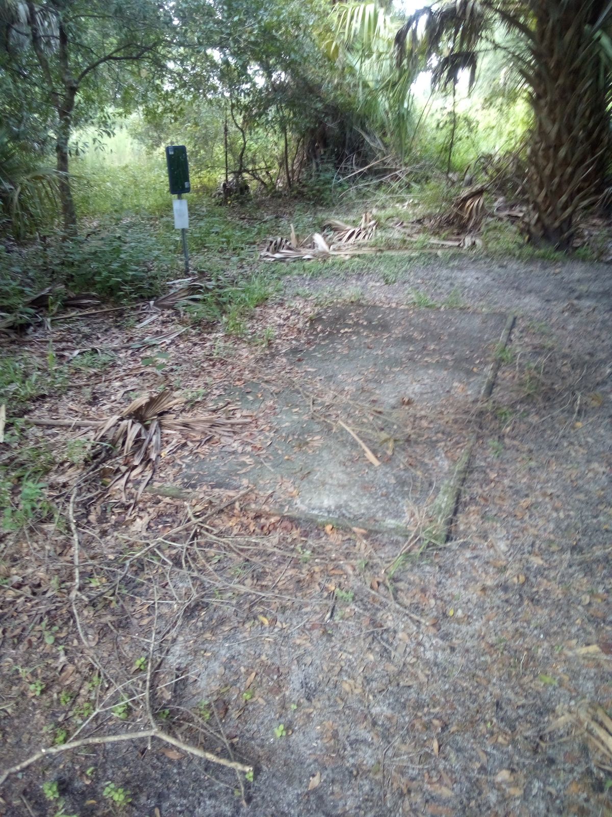 Long tee pad #13 before
