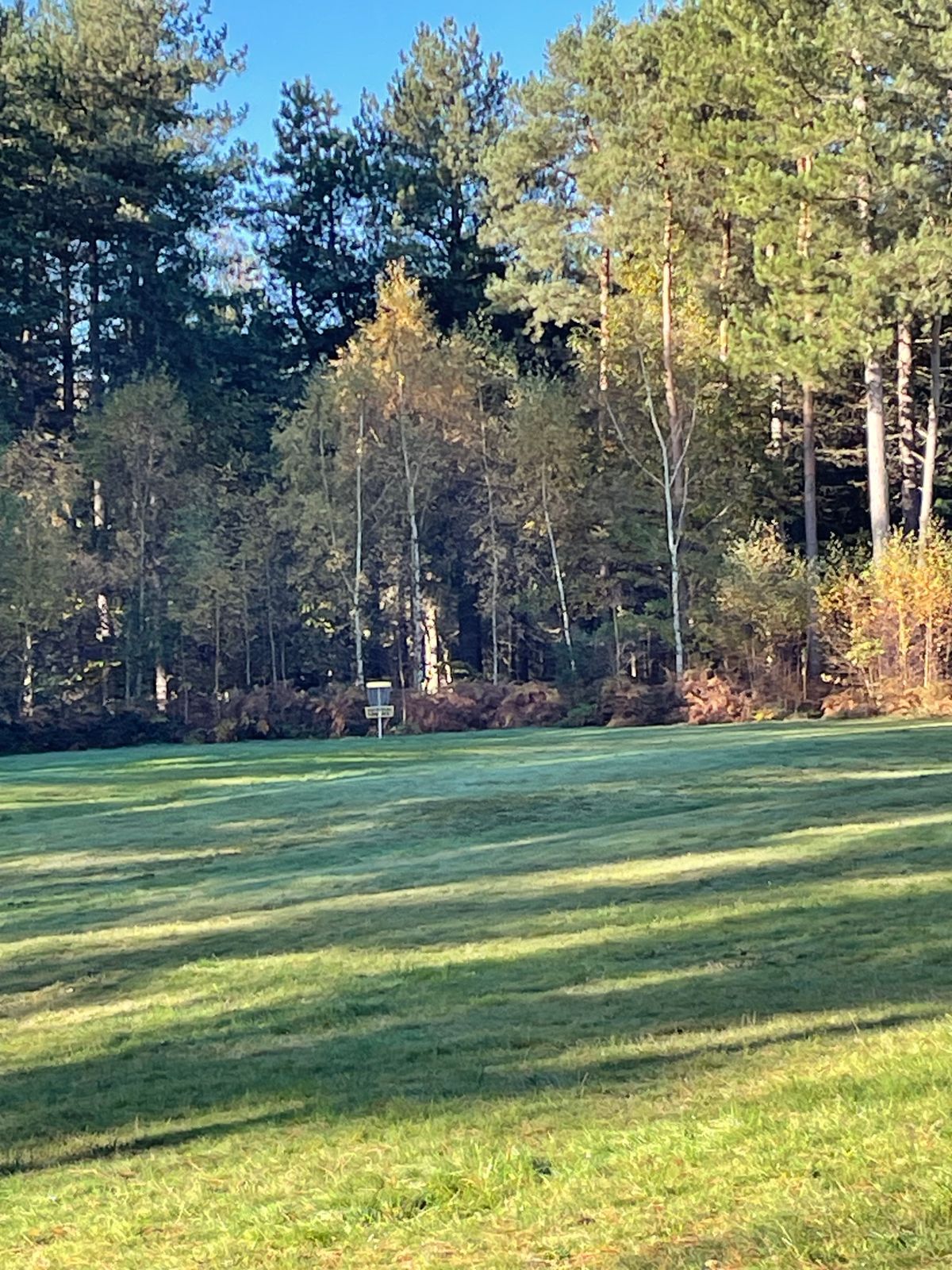 Basket 8 from the tee