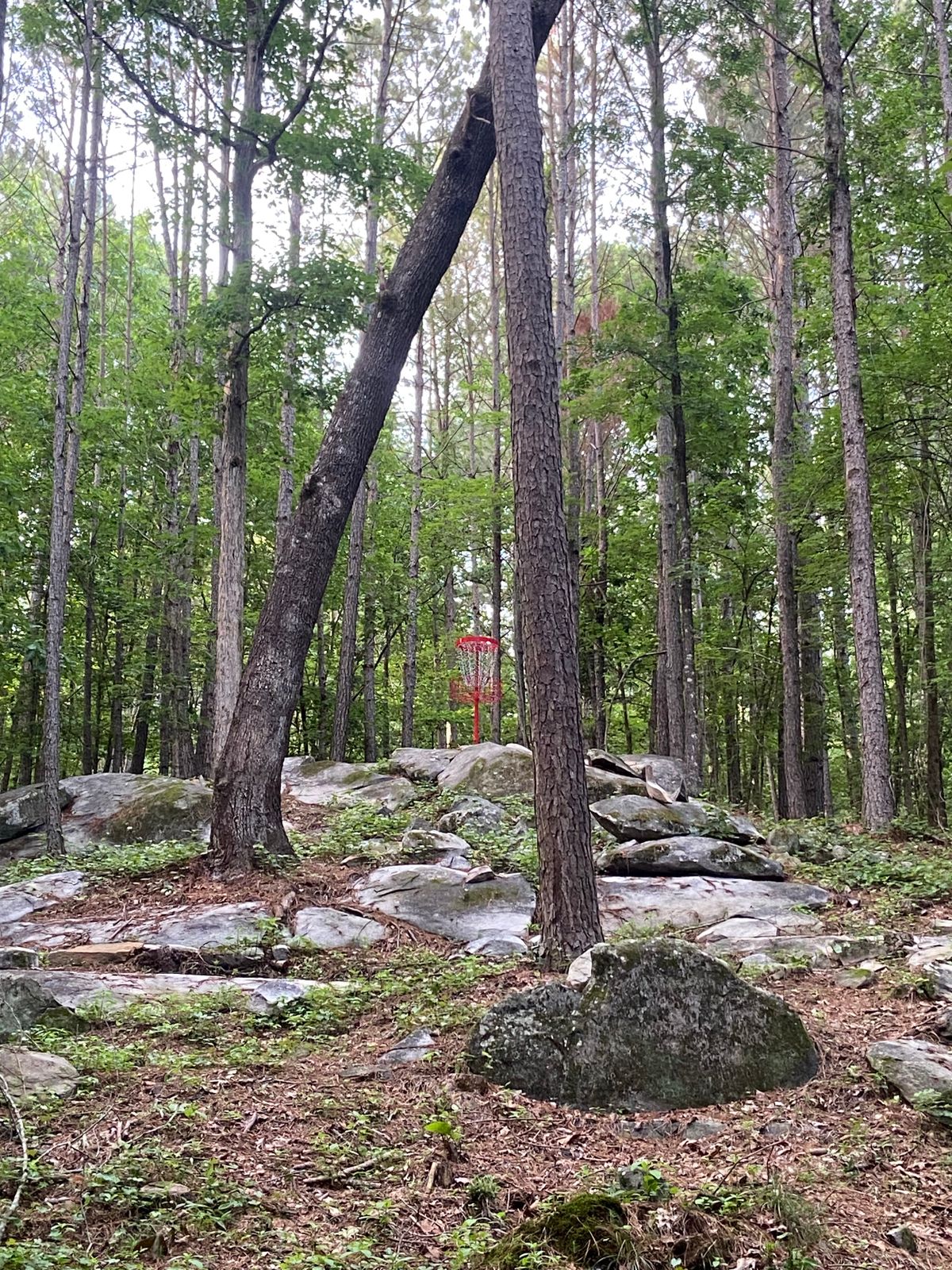 Basket of Hole 7 “Stone Mountain”