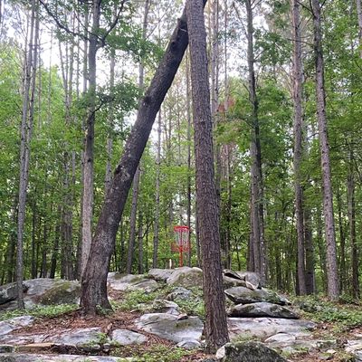 Basket of Hole 7 “Stone Mountain”
