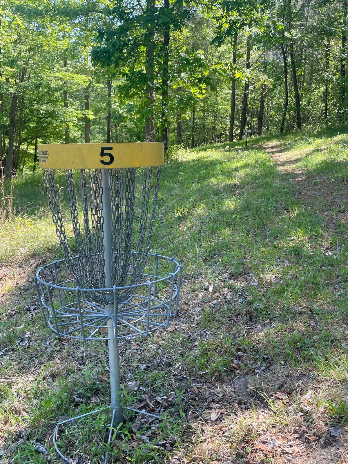 Hole 5 basket, hillside to the left, into water
