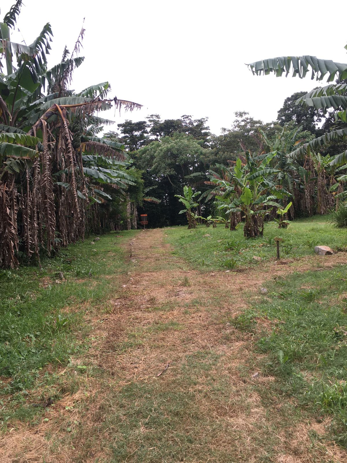 Hole 7 Fairway