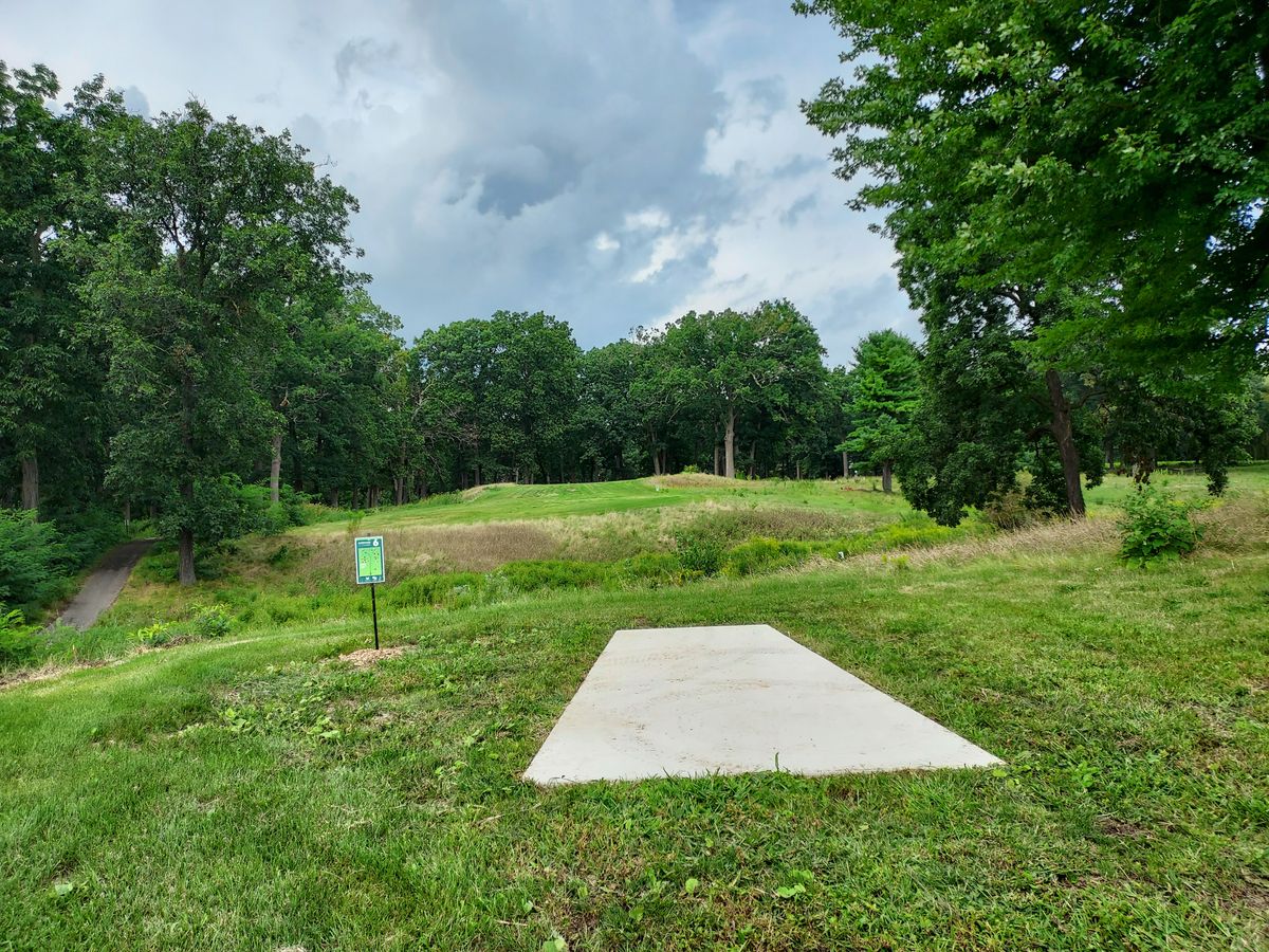 6 long tee