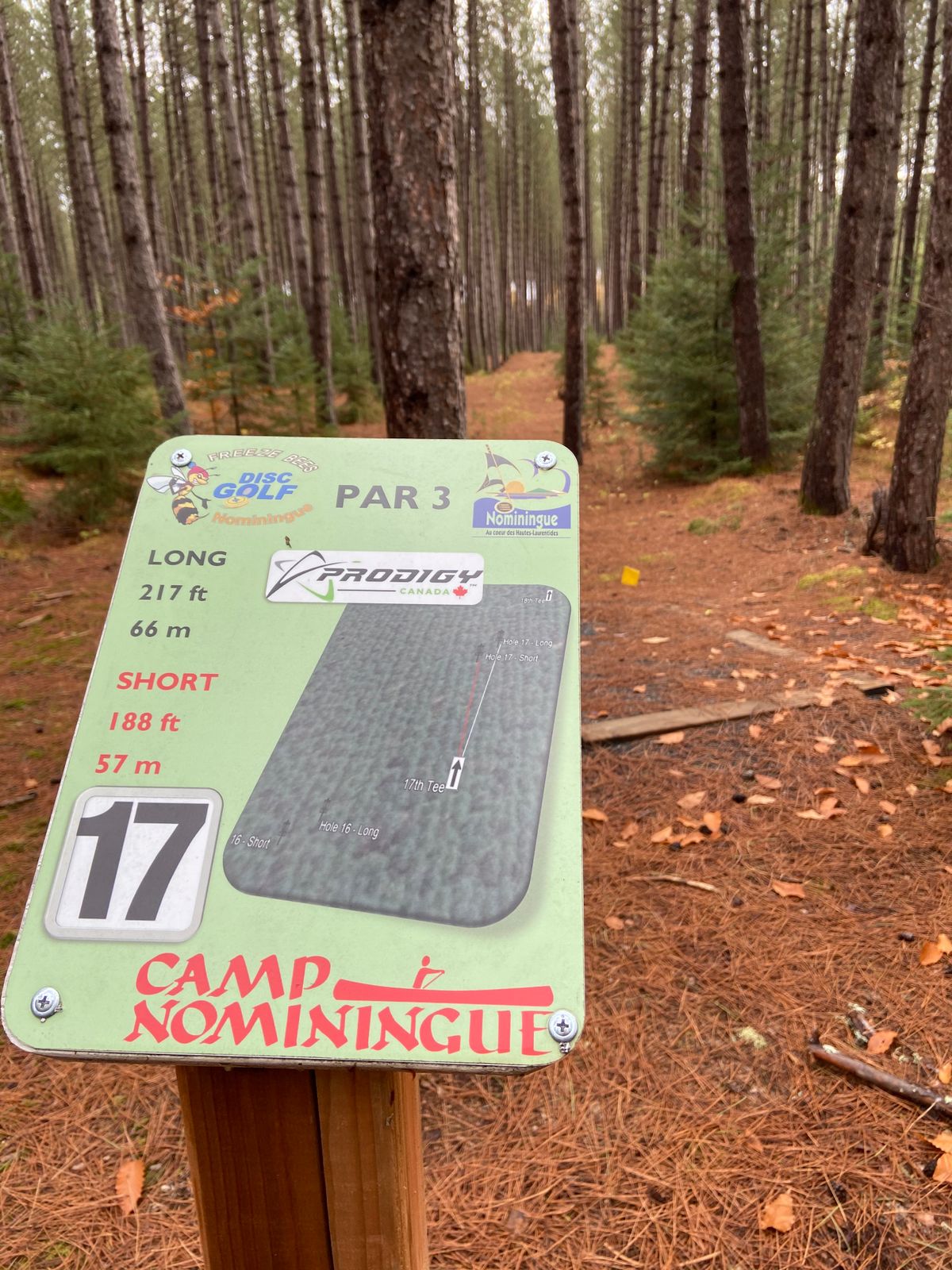 Tee 17
