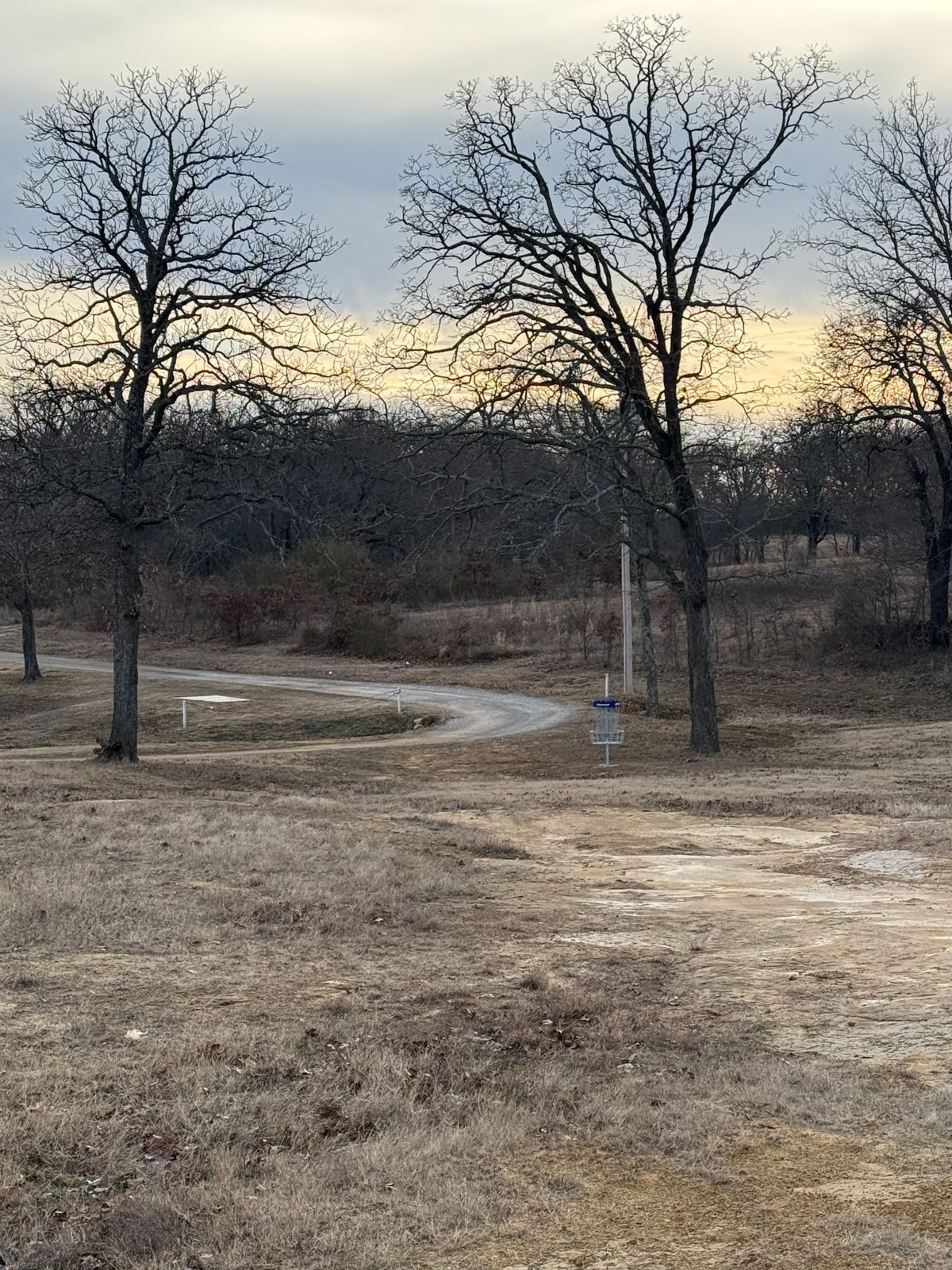 Hole 1 (Shorts) Basket