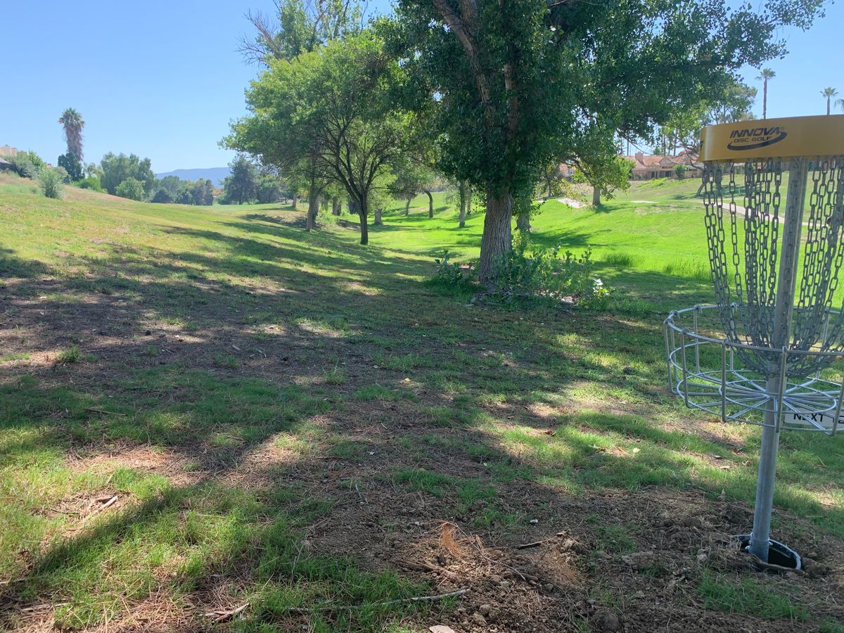 Alpha Hole 5 Basket