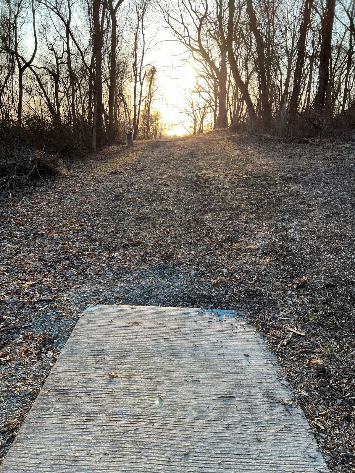 Hole 17 - Blues
