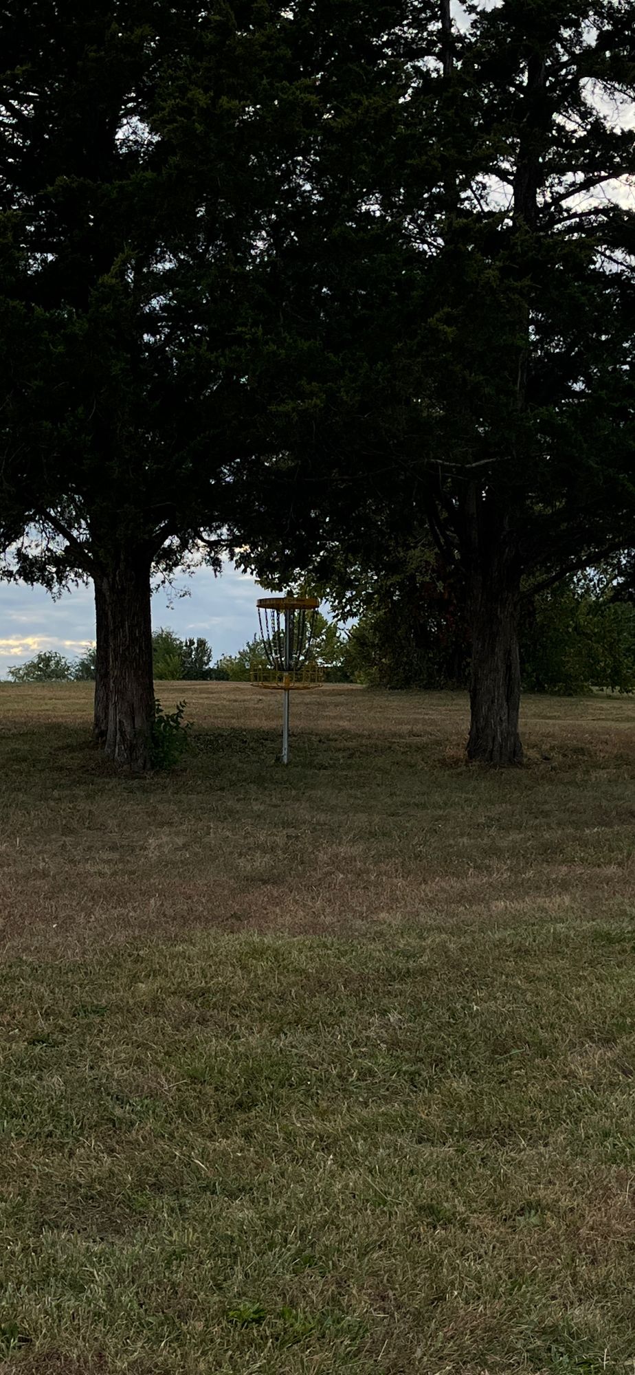 Hole 8 basket from fairway