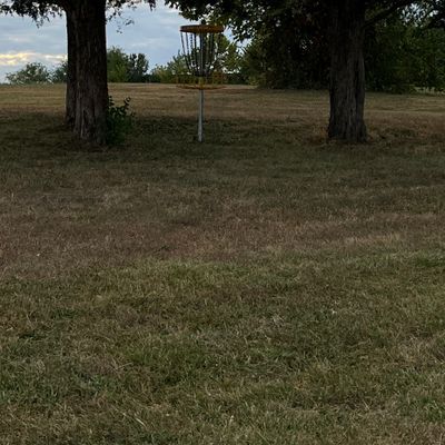 Hole 8 basket from fairway