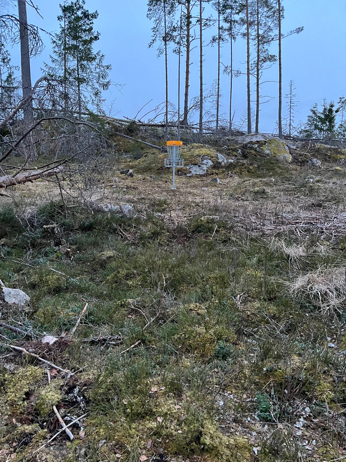Korg hål 12