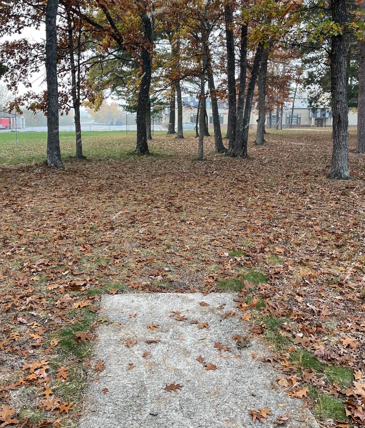 Tee pad three