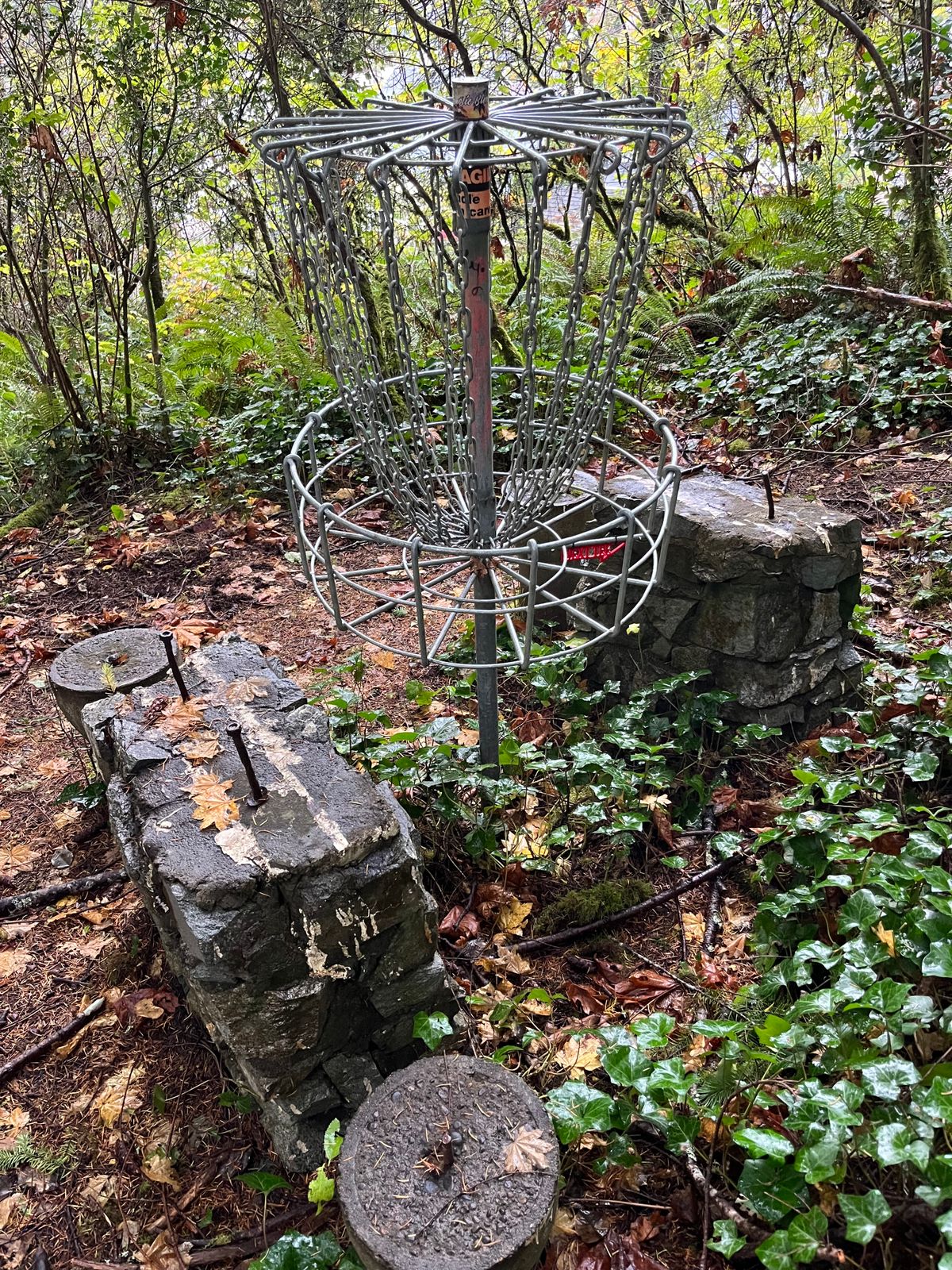 Hole #3 basket