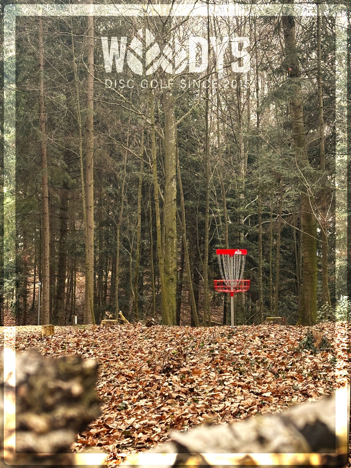 Bahn 2 AM 9er Offiziell