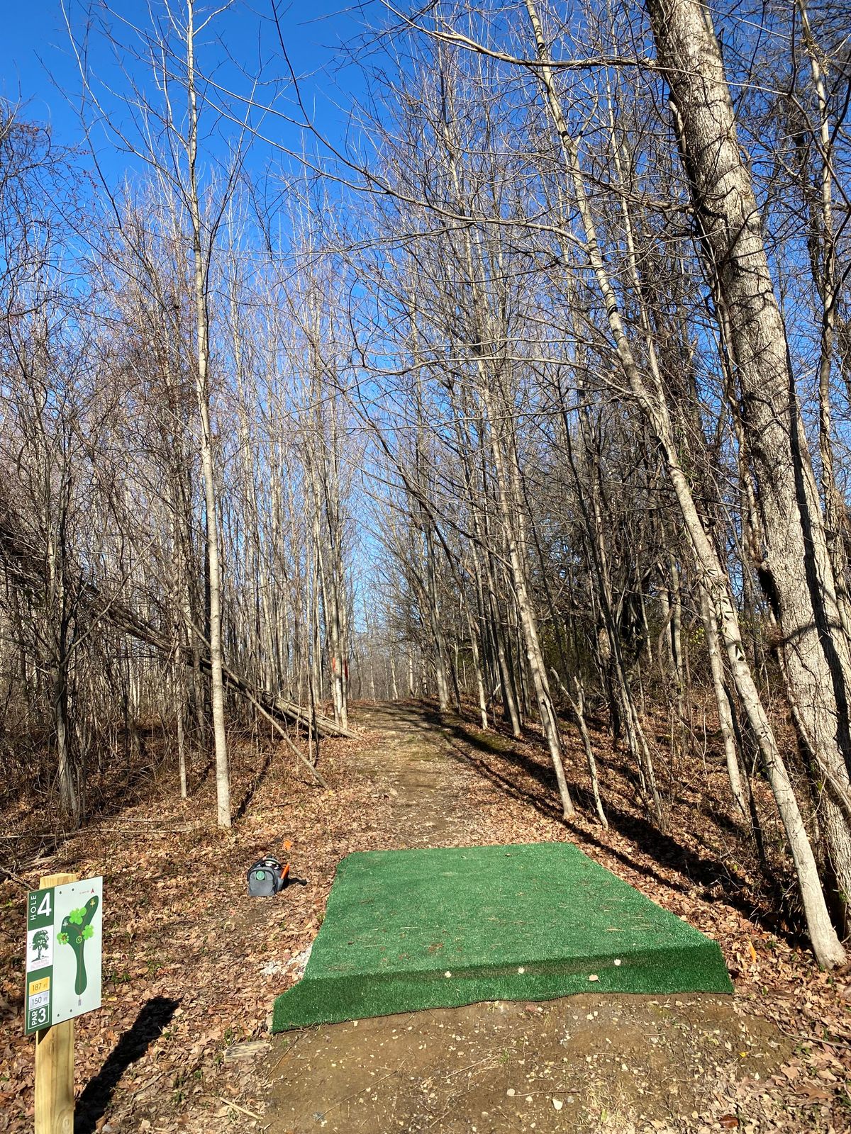 Hole 4 offers a tight wooded fairway opening to short and long baskets