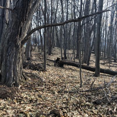 Hole One from the tee.