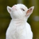 User avatar image