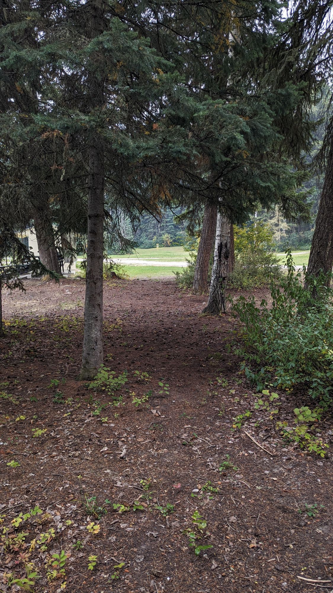 Hole #3