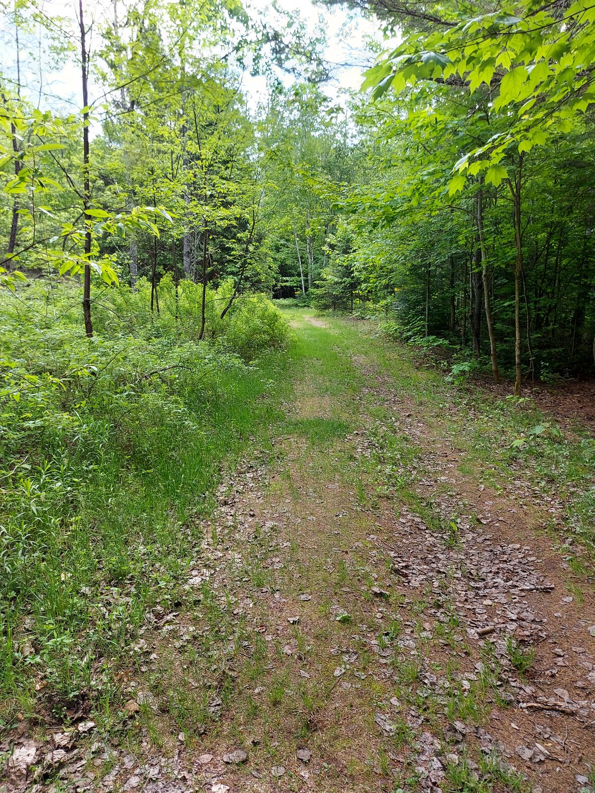 Follow path to campground.