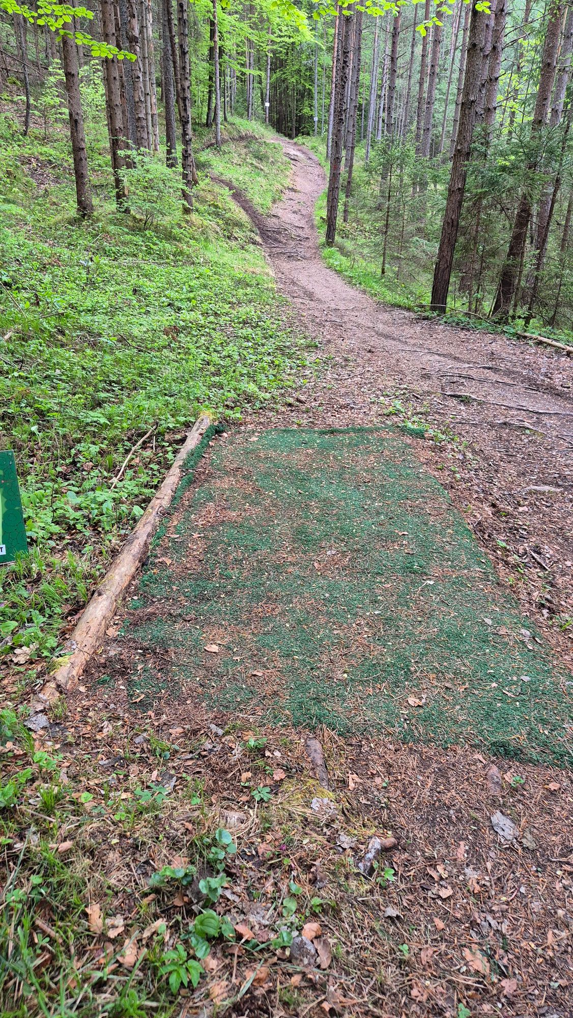 Hole 7