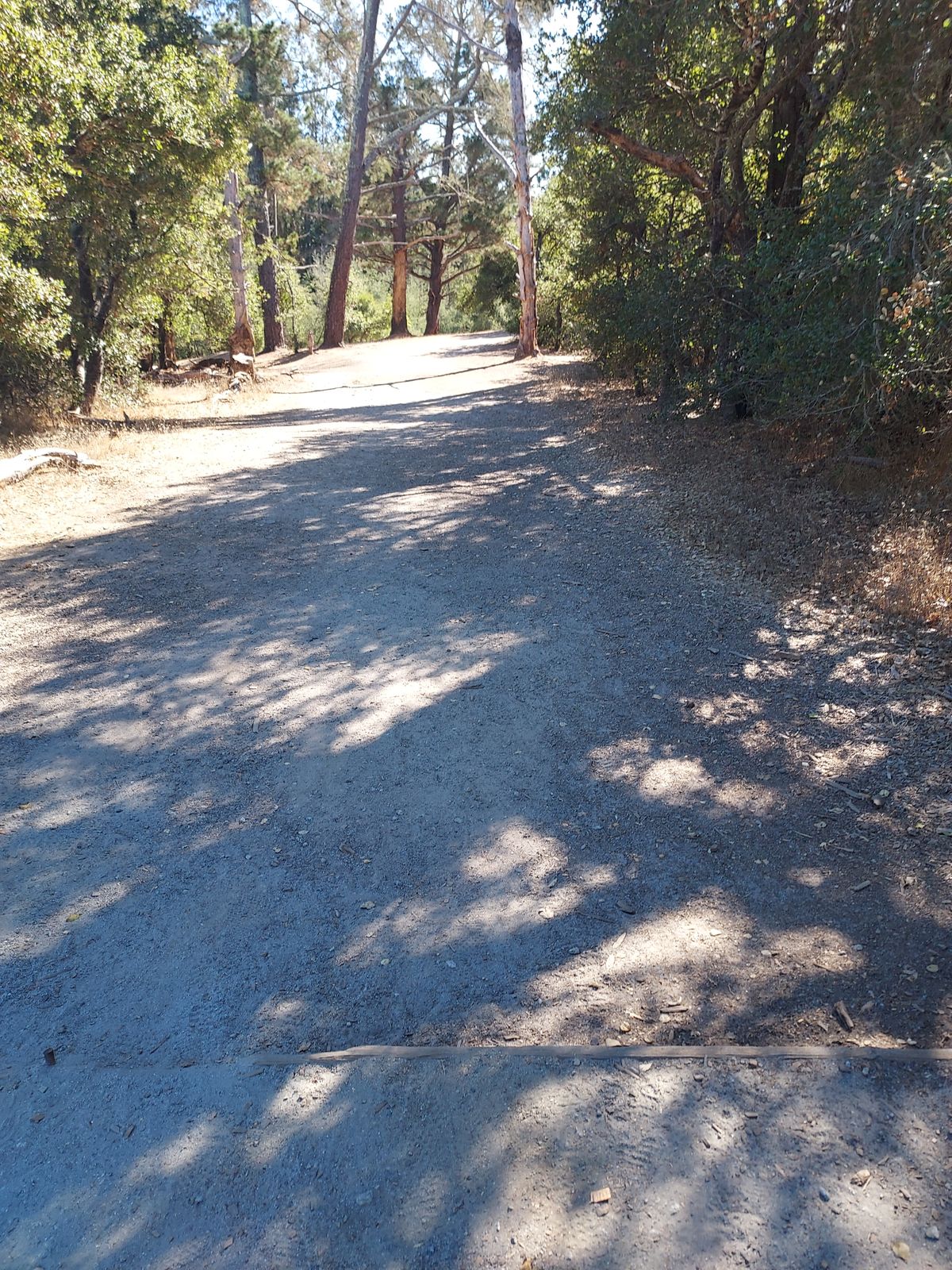 Hole 7 from the tee