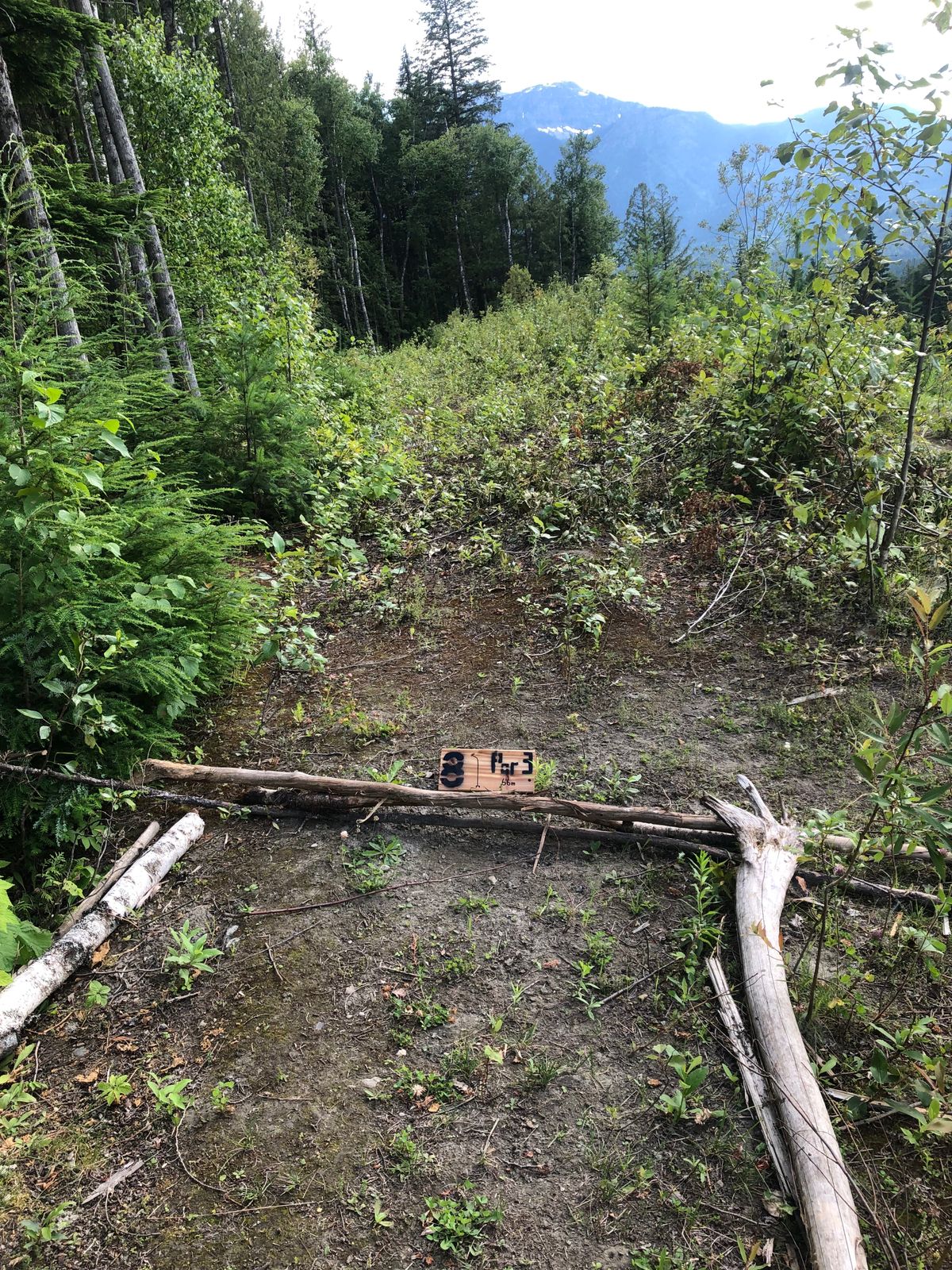 Hole 8 tee