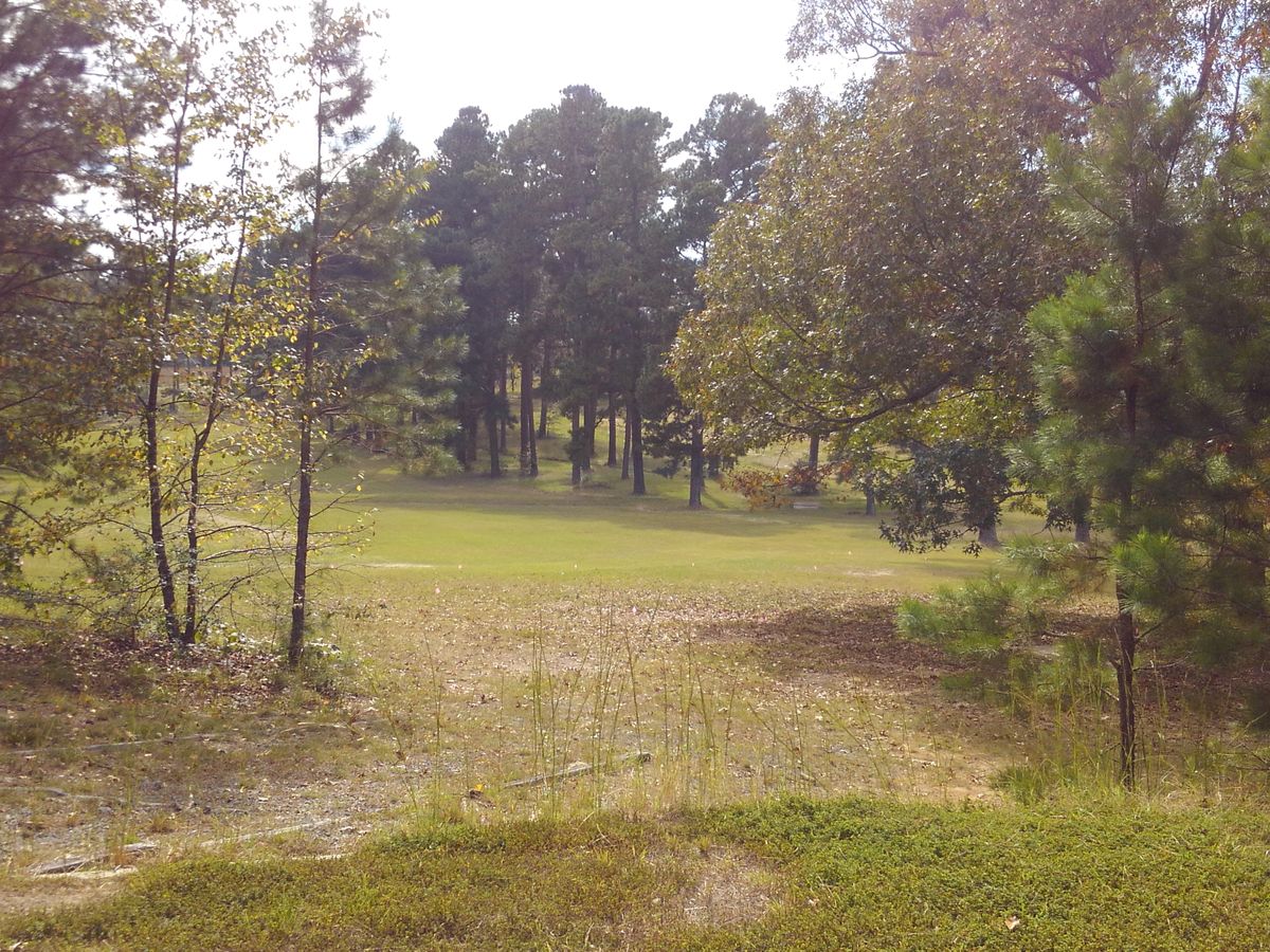 #1 tee