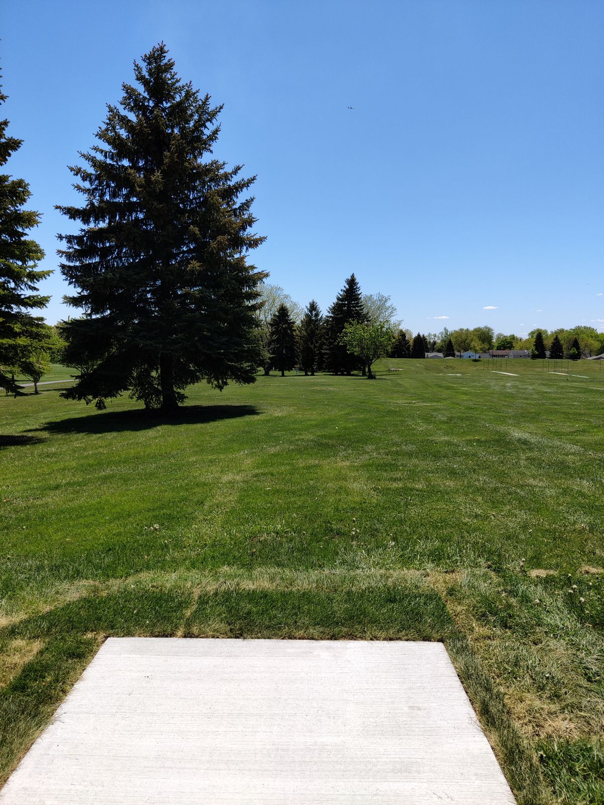 Hole #5 tee