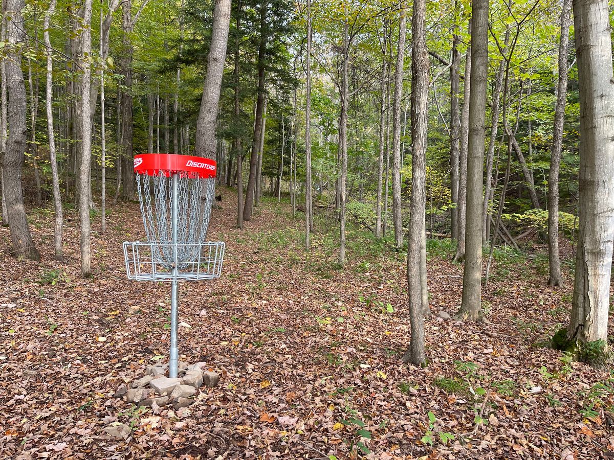 G Basket to Tee