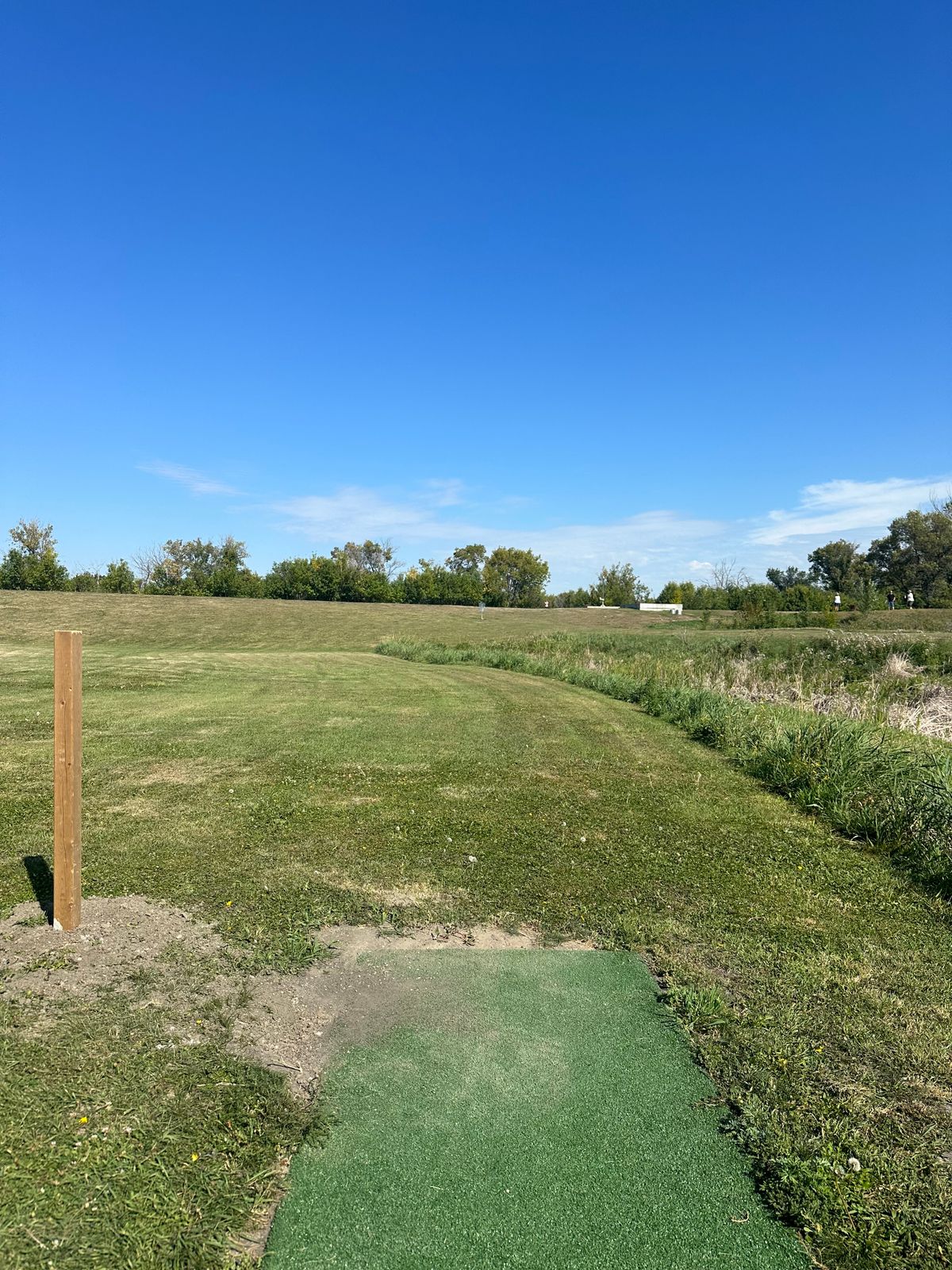 Short 9 Tee