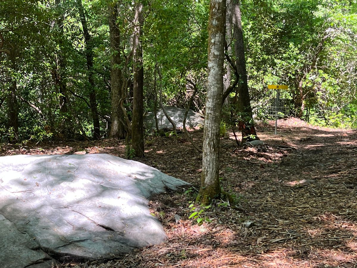 Basket next to raven fork River