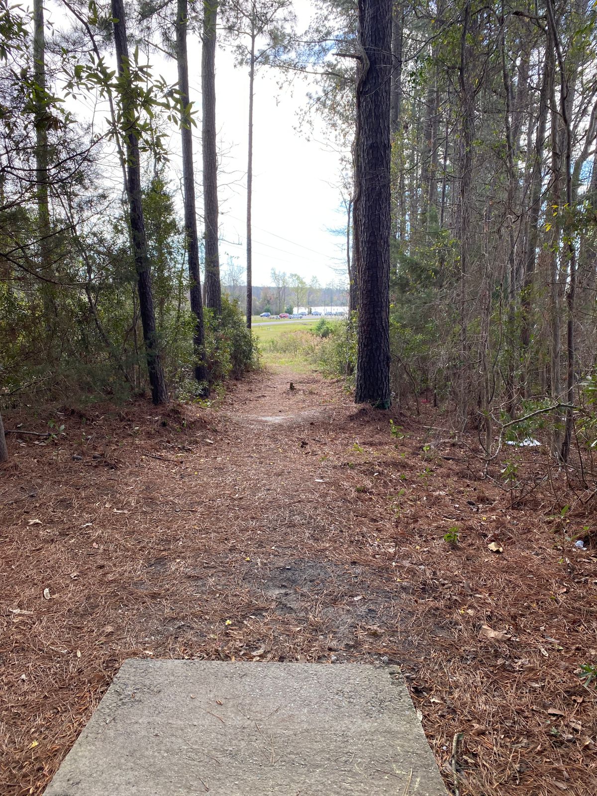 Hole 14 Blue Tee