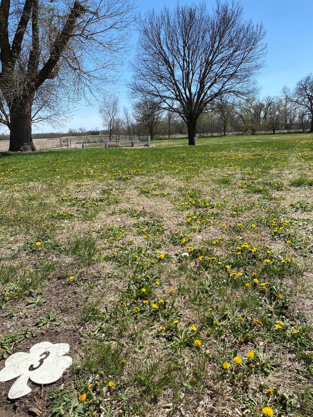 Hole 3